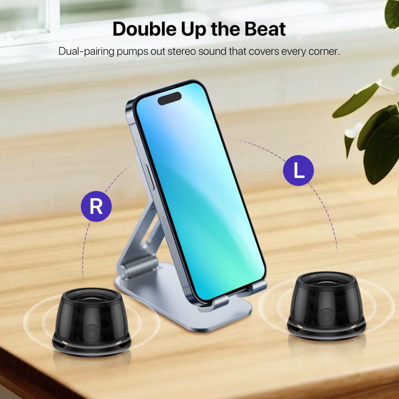 echelon BackBeat Mini MagSafe Bluetooth SpeakerEchelon