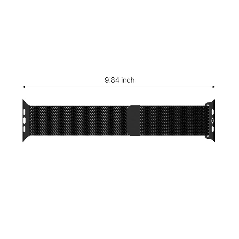 echelon Ironclad Stainless Steel Loop for Apple Watch Series 9 45mm/Watch Series 10 46mm / Watch SE (2022) 44mm - SilverWatch Series 9 45mm