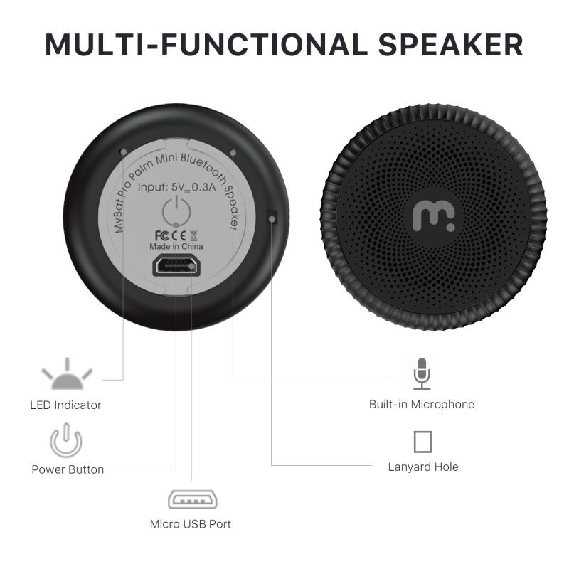 Palm SpeakerMyBat Pro